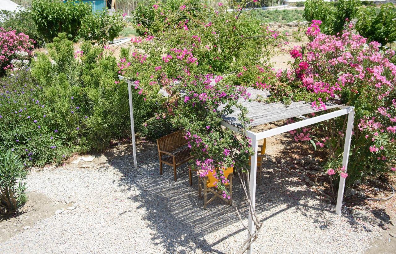 Porto Katapola Pension 外观 照片
